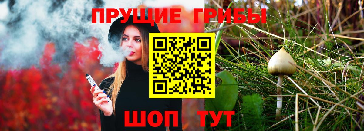 Тосно  Галлюциногенные грибы Cubensis  Вход с VPN  Псилоцибиновые грибы мицелий 